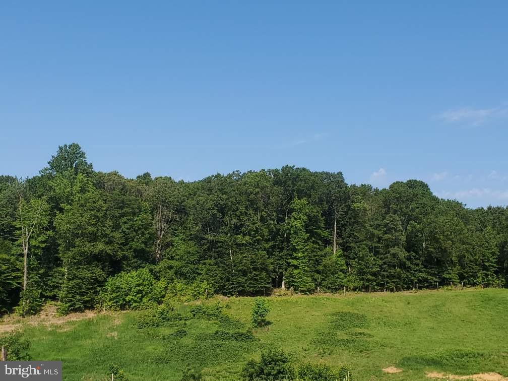 16404 Bealle Hill Road Accokeek, MD 20607 - Photo 10 of 19