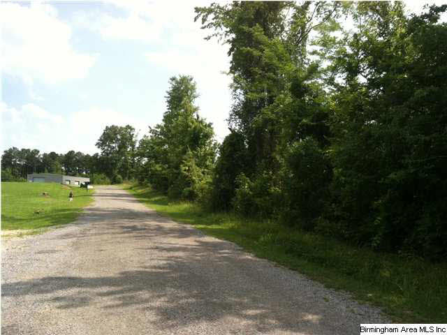 Sweatt Road, Unit 32 5 Ashville, AL 35953 - Photo 2 of 6