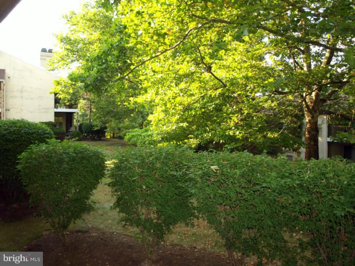 179 Valley Stream Circle Chesterbrook, PA 19087 - Photo 15 of 20 View in Back