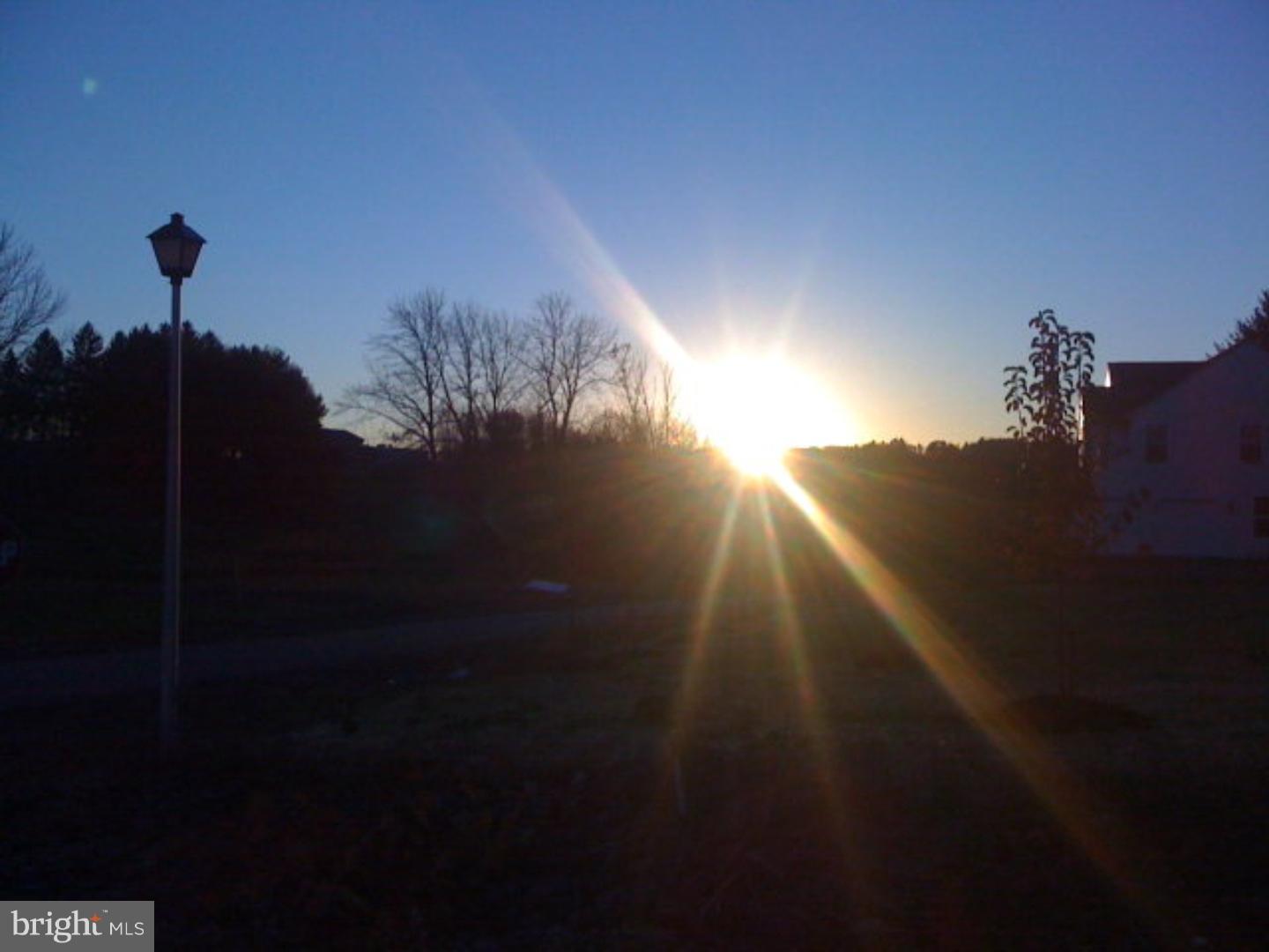 View 1