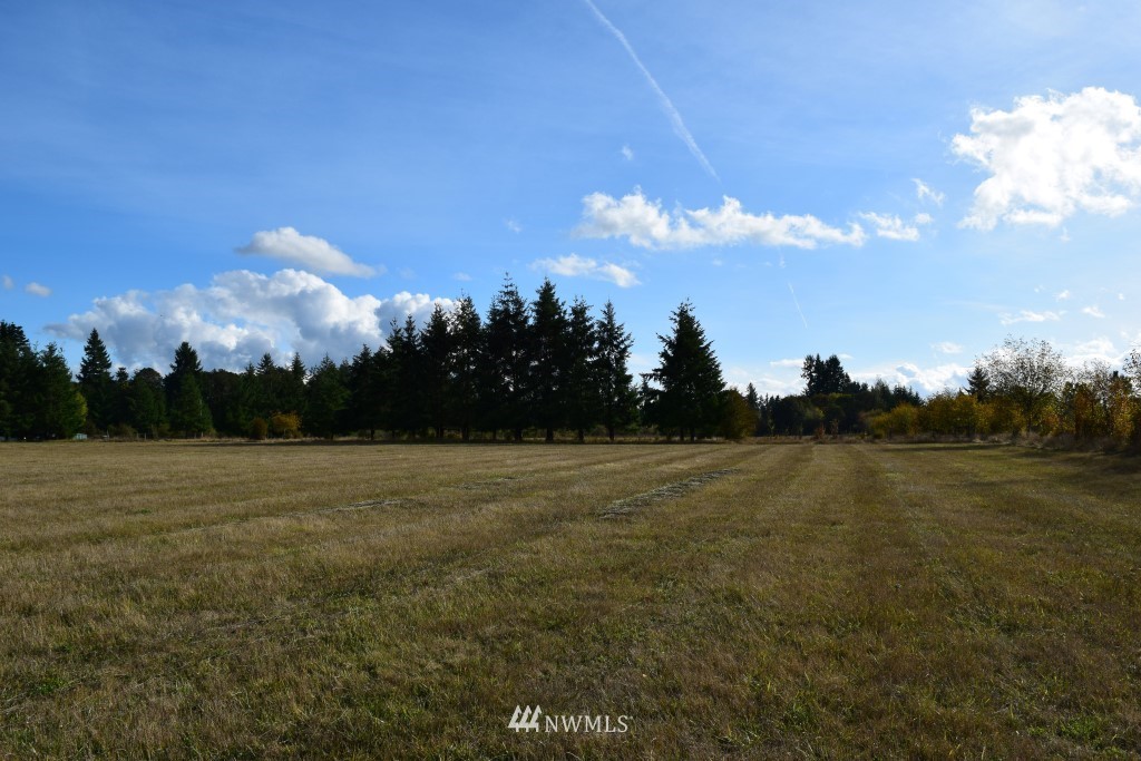 3 Drews Prairie Road Toledo, WA 98591 - Photo 4 of 7 Gallery Image 4