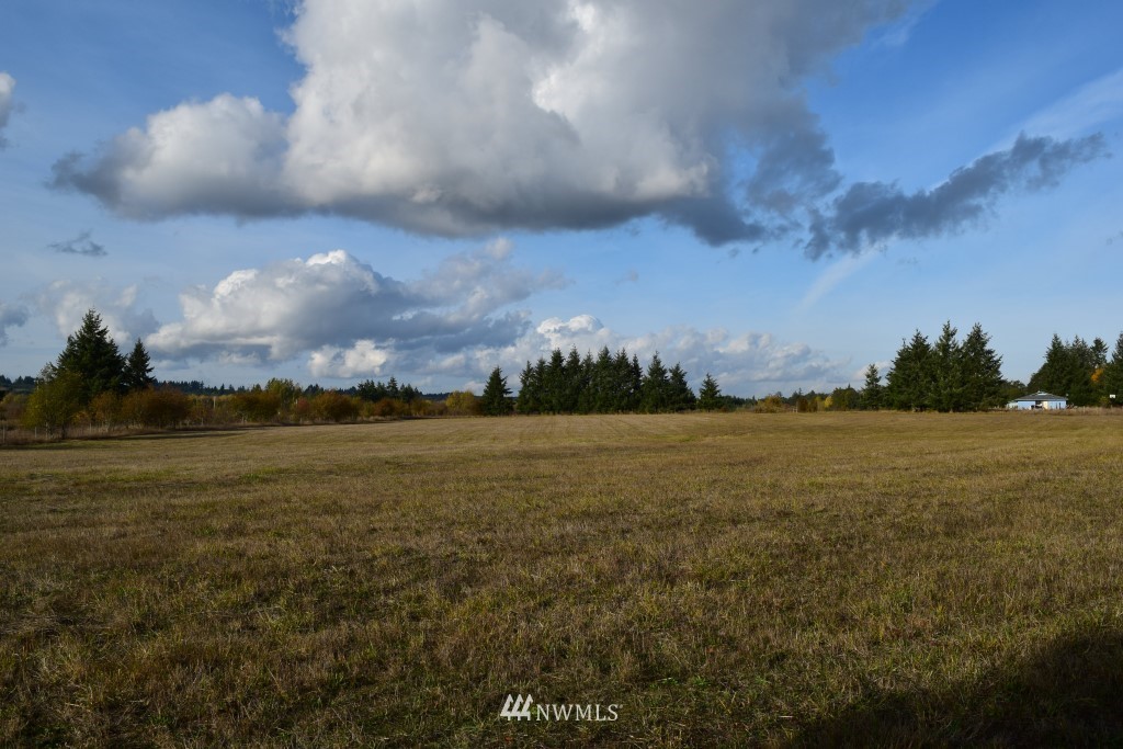 3 Drews Prairie Road Toledo, WA 98591 - Photo 5 of 7 Gallery Image 5
