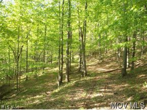 4 C Road Harrisville, WV 26362 - Photo 3 of 6 Gallery Image 3