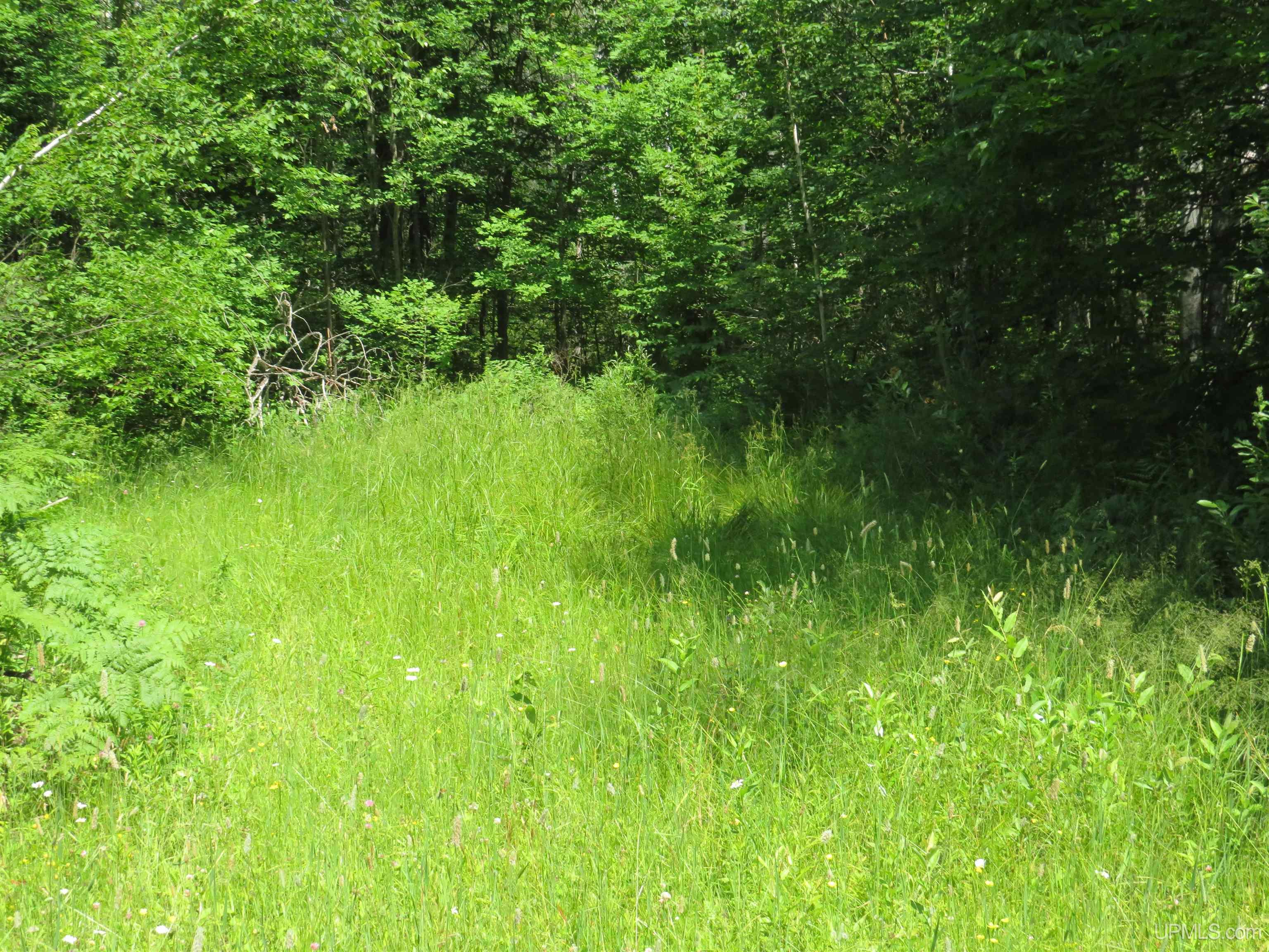 Tbd Curlew Road Ontonagon, MI 49953 - Photo 32 of 36
