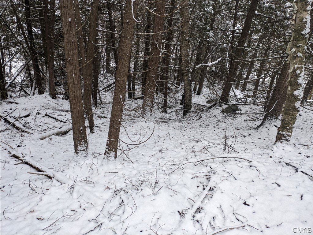 14112 Hermitage Road Diana, NY 13648 - Photo 6 of 10