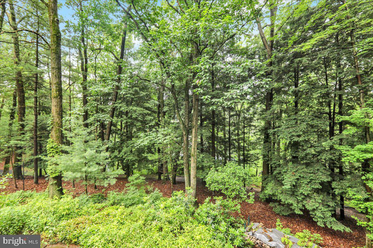 154 Deer Hill Road Reading, PA 19607 - Photo 27 of 97 a view of a garden