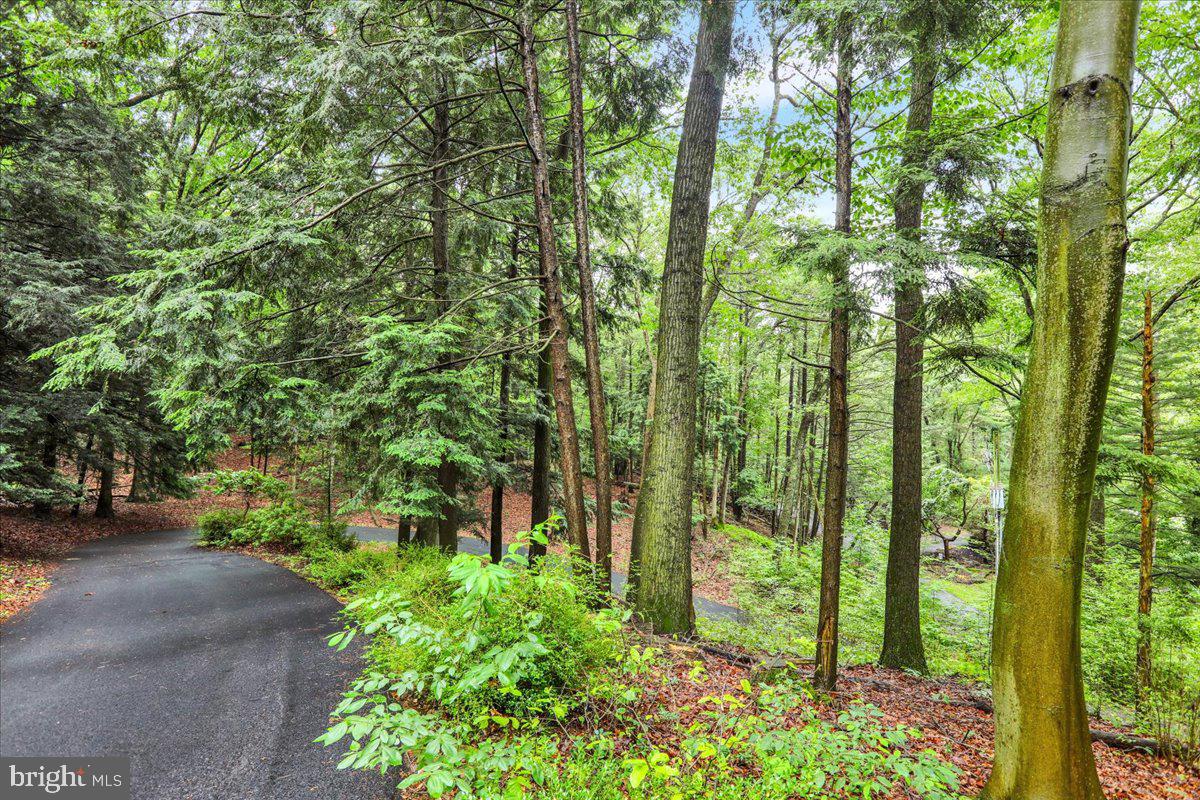 154 Deer Hill Road Reading, PA 19607 - Photo 4 of 97