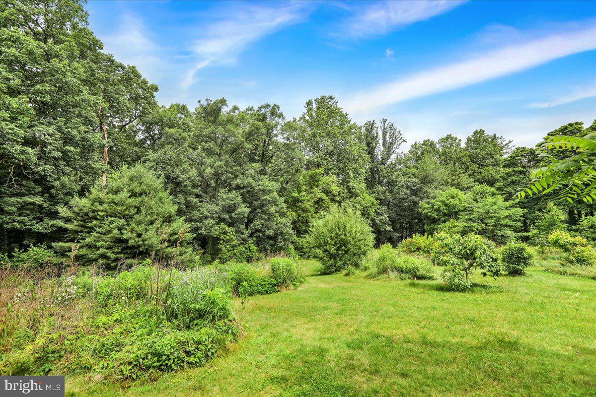 154 Deer Hill Road Reading, PA 19607 - Photo 65 of 97 a view of a yard with a tree