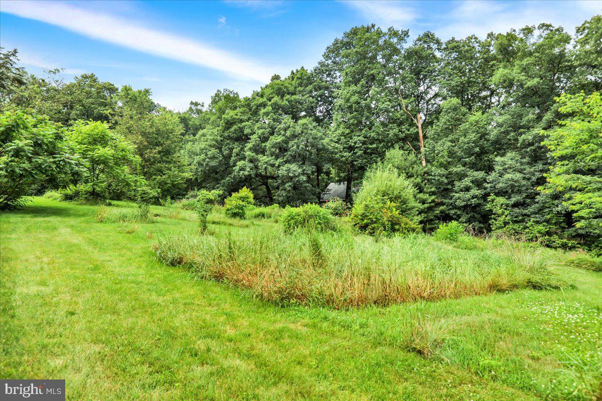 154 Deer Hill Road Reading, PA 19607 - Photo 71 of 97 a view of a lush green space