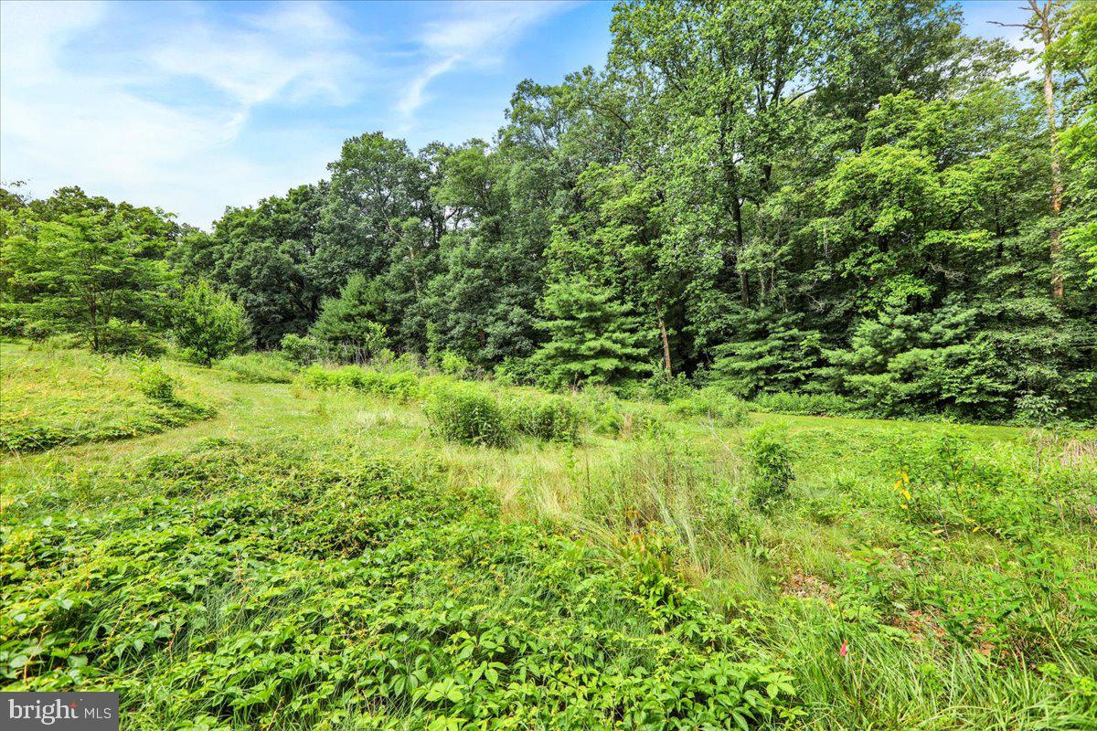 154 Deer Hill Road Reading, PA 19607 - Photo 72 of 97