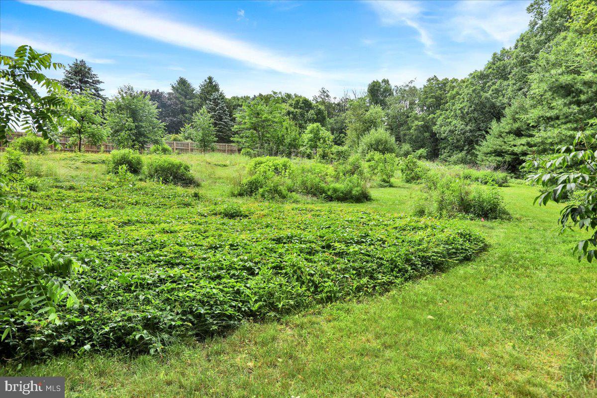 154 Deer Hill Road Reading, PA 19607 - Photo 73 of 97