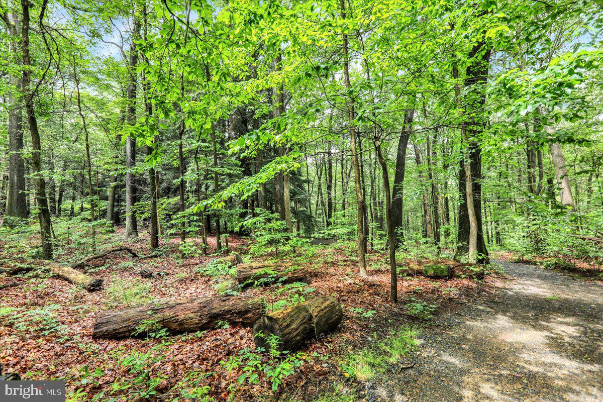 154 Deer Hill Road Reading, PA 19607 - Photo 74 of 97