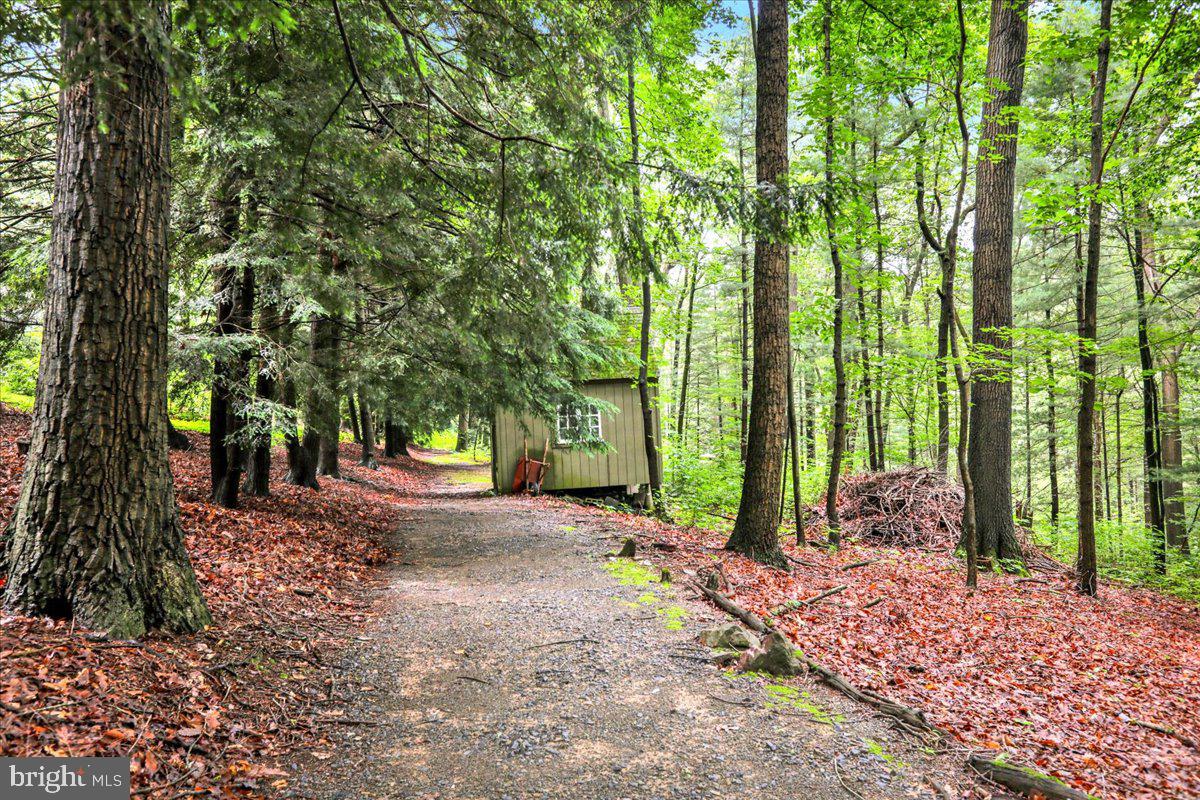 154 Deer Hill Road Reading, PA 19607 - Photo 76 of 97 a view of a back yard