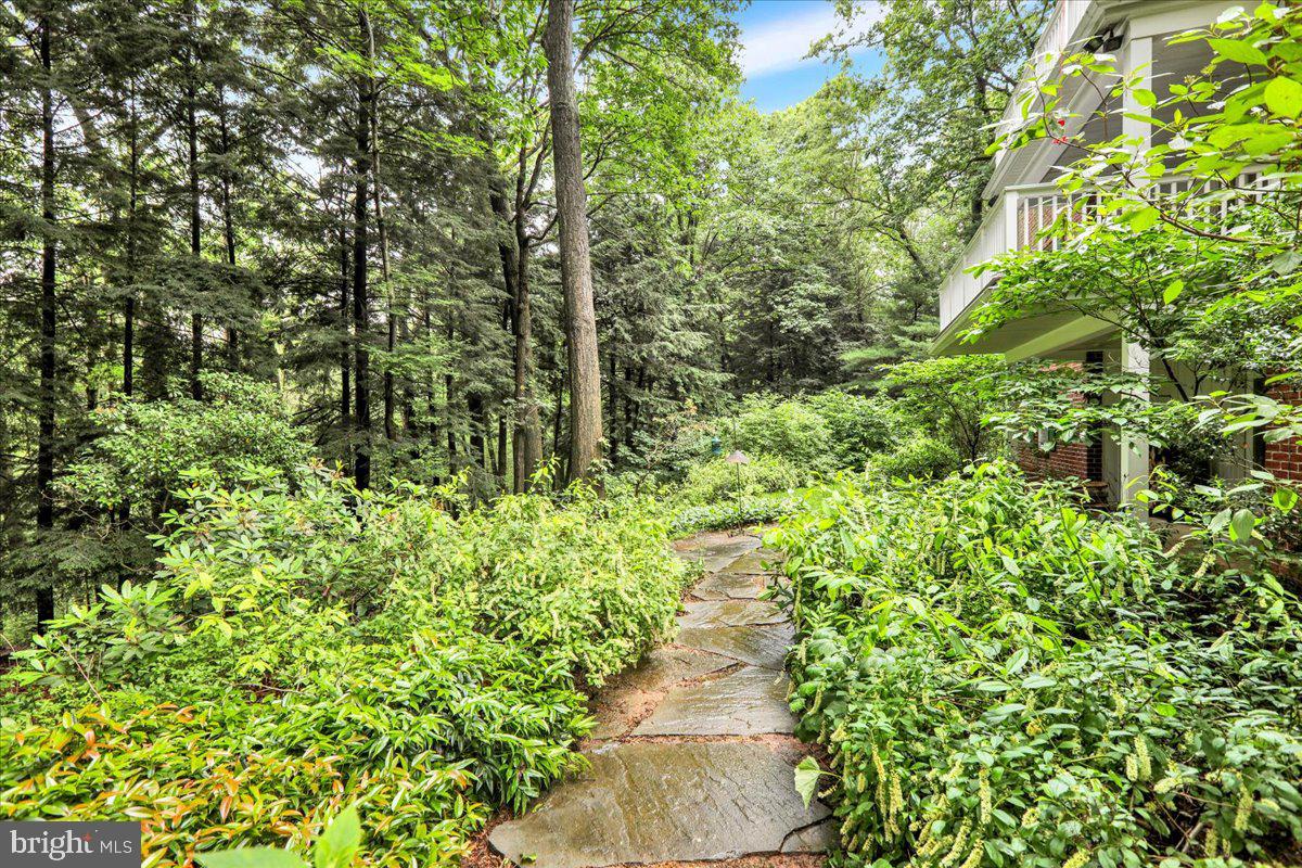 154 Deer Hill Road Reading, PA 19607 - Photo 82 of 97 a view of a garden with a tree
