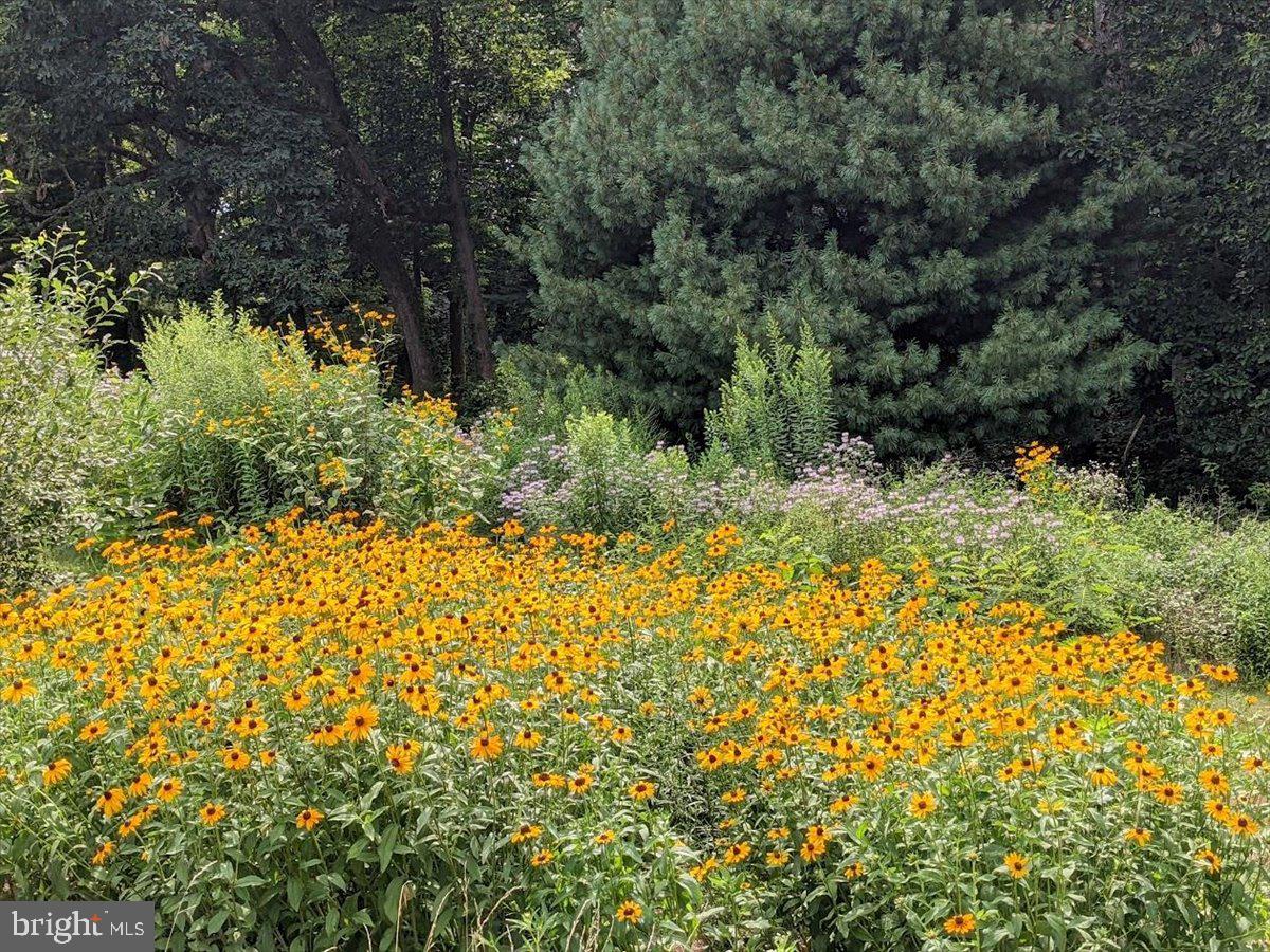 154 Deer Hill Road Reading, PA 19607 - Photo 85 of 97 a view of a garden with plants