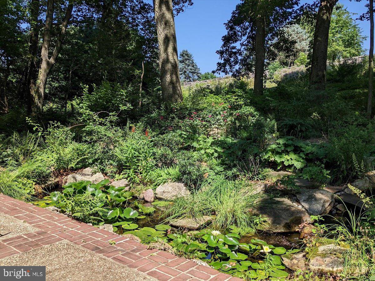 154 Deer Hill Road Reading, PA 19607 - Photo 86 of 97 a view of a garden with plants and large trees