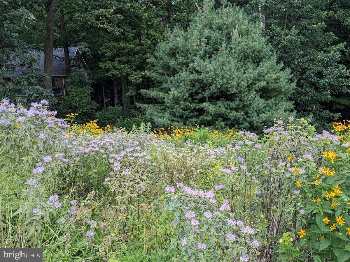 154 Deer Hill Road Reading, PA 19607 - Photo 87 of 97 a view of a house with a lush green forest