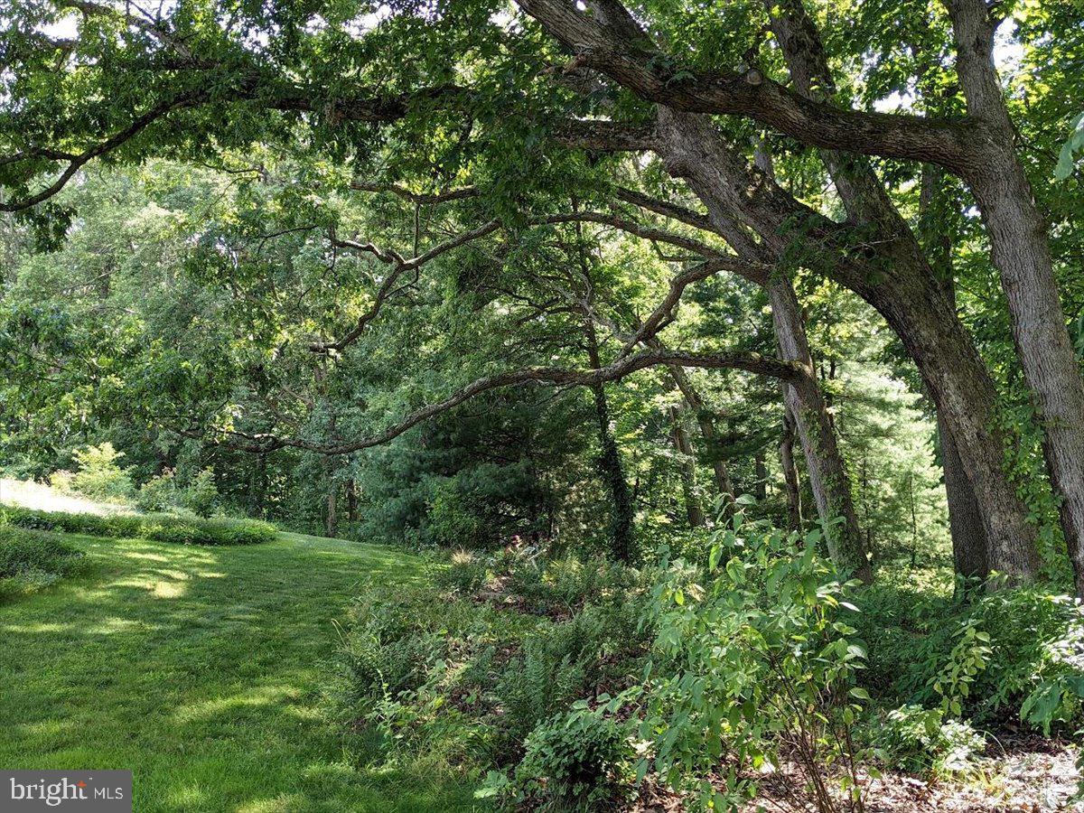 154 Deer Hill Road Reading, PA 19607 - Photo 91 of 97