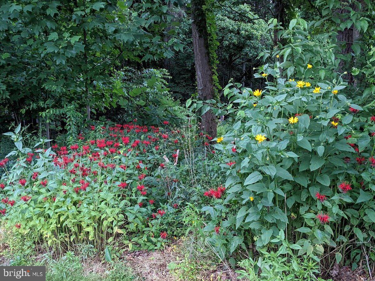 154 Deer Hill Road Reading, PA 19607 - Photo 92 of 97