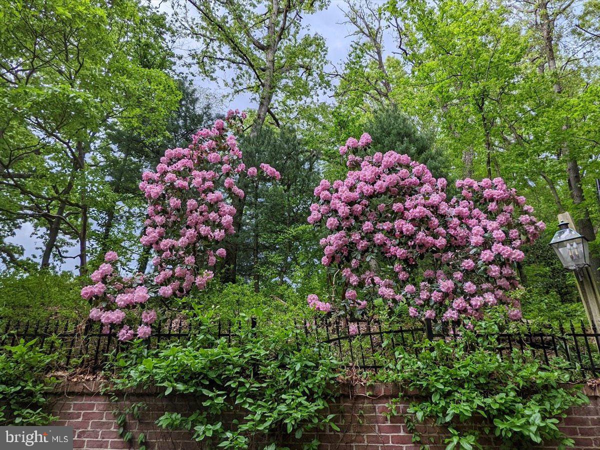 154 Deer Hill Road Reading, PA 19607 - Photo 93 of 97