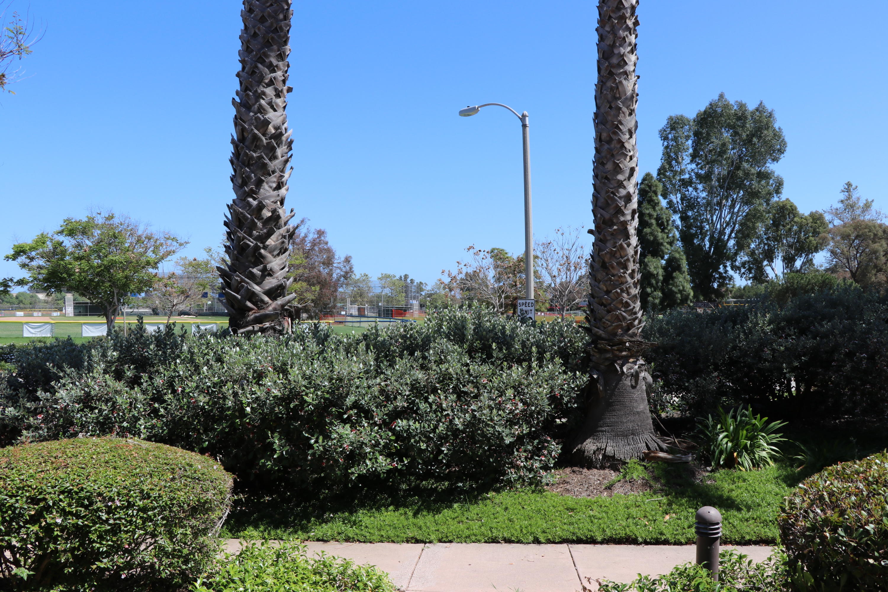 7100 Georgetown Road Goleta, CA 93117 - Photo 3 of 35 View IMG_4215