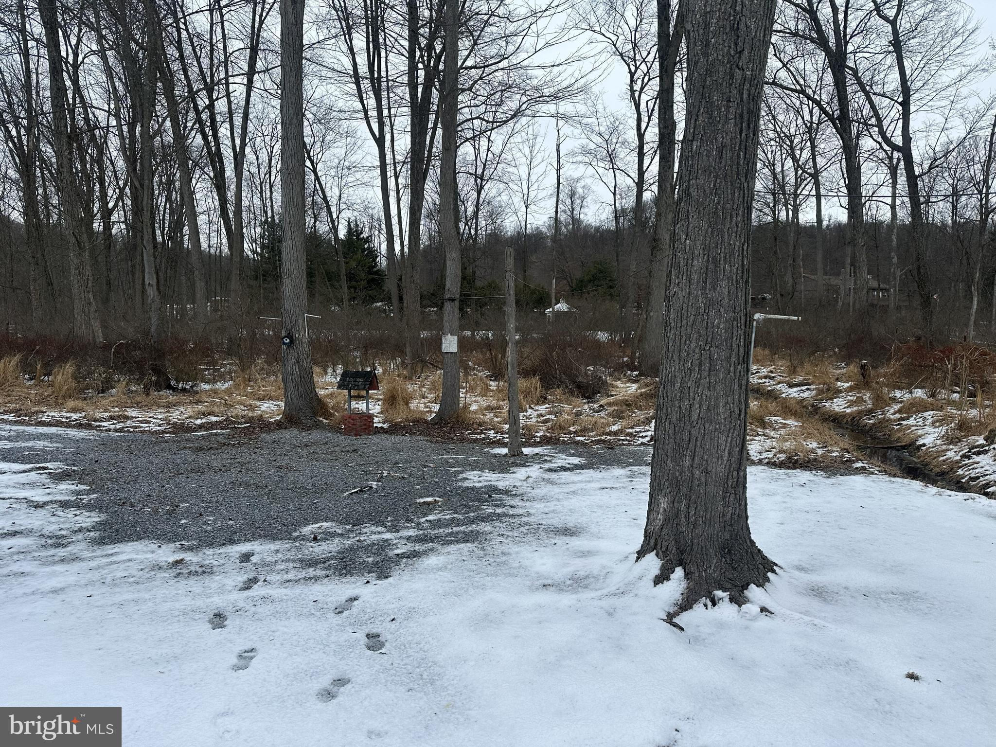 210 Maple Avenue Manheim, PA 17545 - Photo 9 of 10 a view of a tree in the middle of a yard