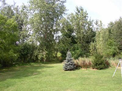 1010 Litchfield Road Quincy, MI 49082 - Photo 2 of 6 Additional Photo