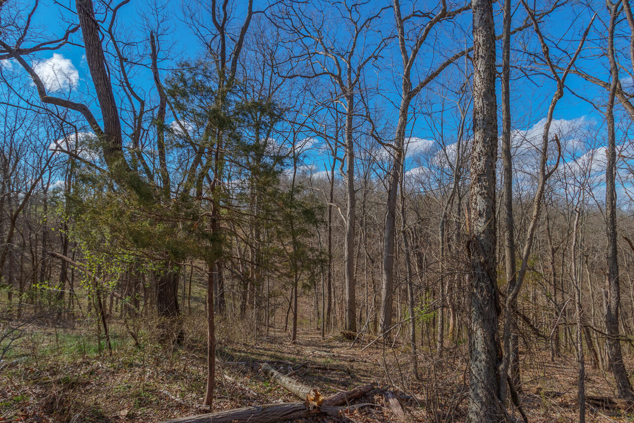 1 Camp Pleasant Road Frankfort, KY 40601 - Photo 22 of 67 048-2918-Cedar-Rd-Stamping-Ground-KY-403