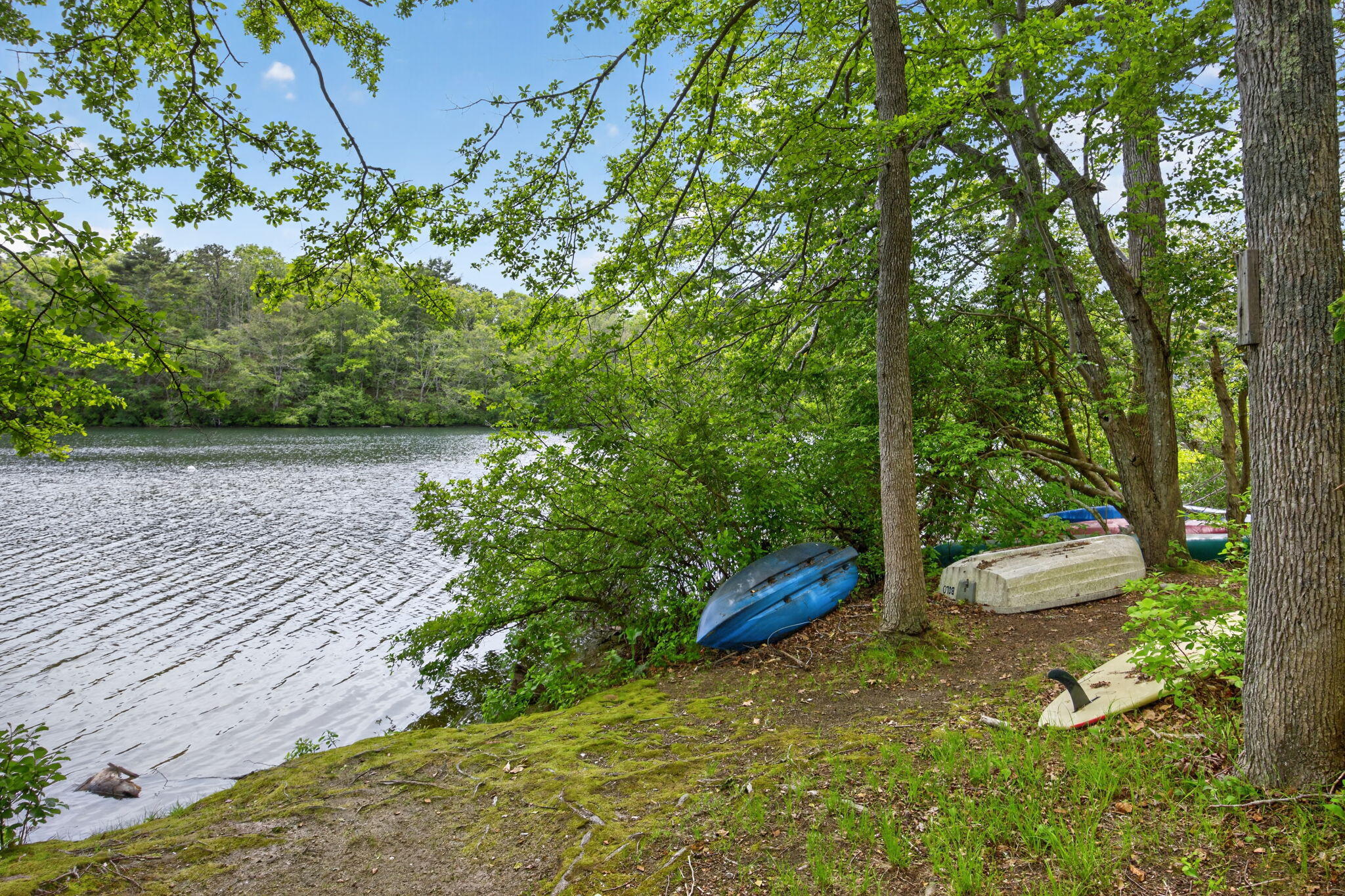 20 Hirsch Road Forestdale, MA 02644 - Photo 23 of 27 29-PF0A2480