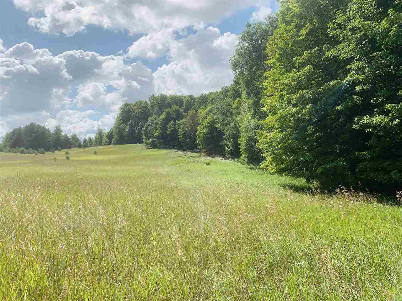 5360 North Brown Road Manton, MI 49663 - Photo 17 of 37 1865772-16.JPG