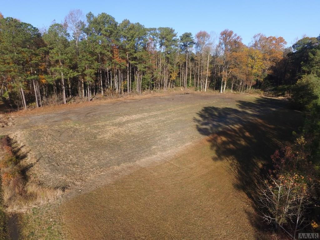 N/a Dusty Hill Road Conway, NC 27820 - Photo 3 of 12 Gallery Image 3