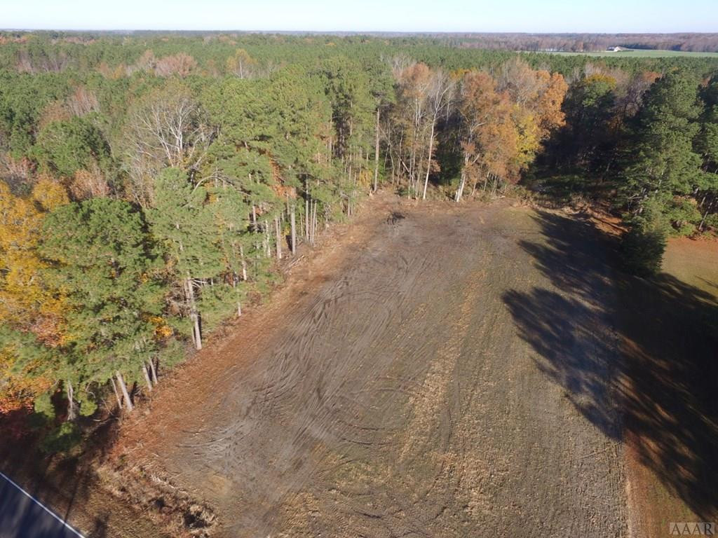 N/a Dusty Hill Road Conway, NC 27820 - Photo 6 of 12 Gallery Image 6