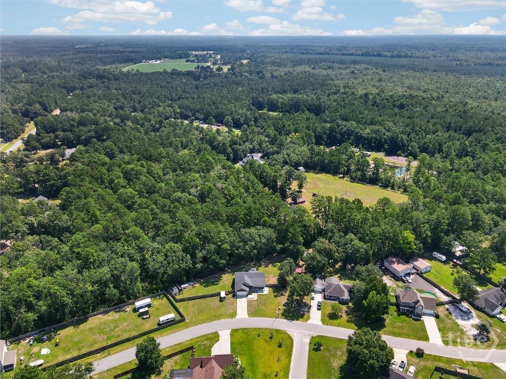 1260 Little McCall Road Guyton, GA 31312 - Photo 61 of 62 Gallery Image 61