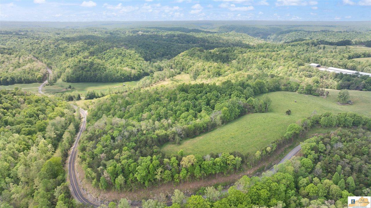 110 Crocus View Road Glens Fork, KY 42741 - Photo 46 of 75 Gallery Image 46