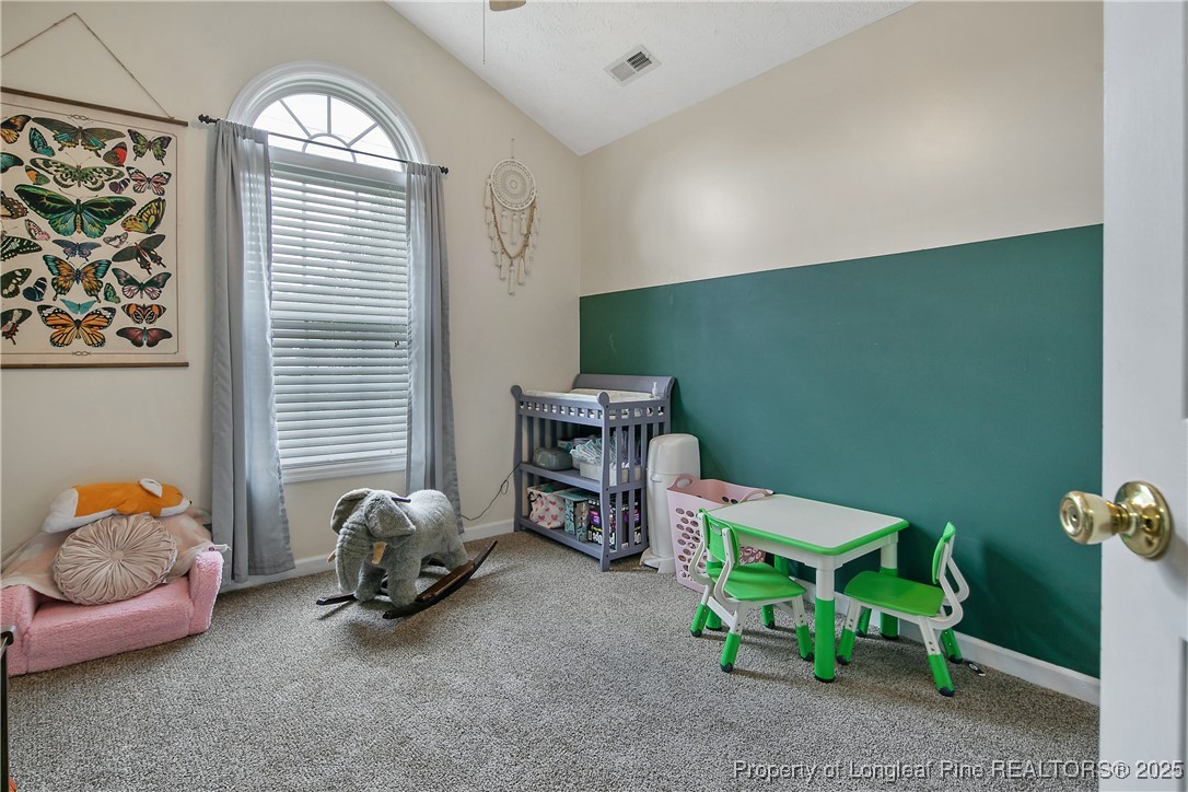 708 Overhills Road Linden, NC 28356 - Photo 18 of 22 Gallery Image 18