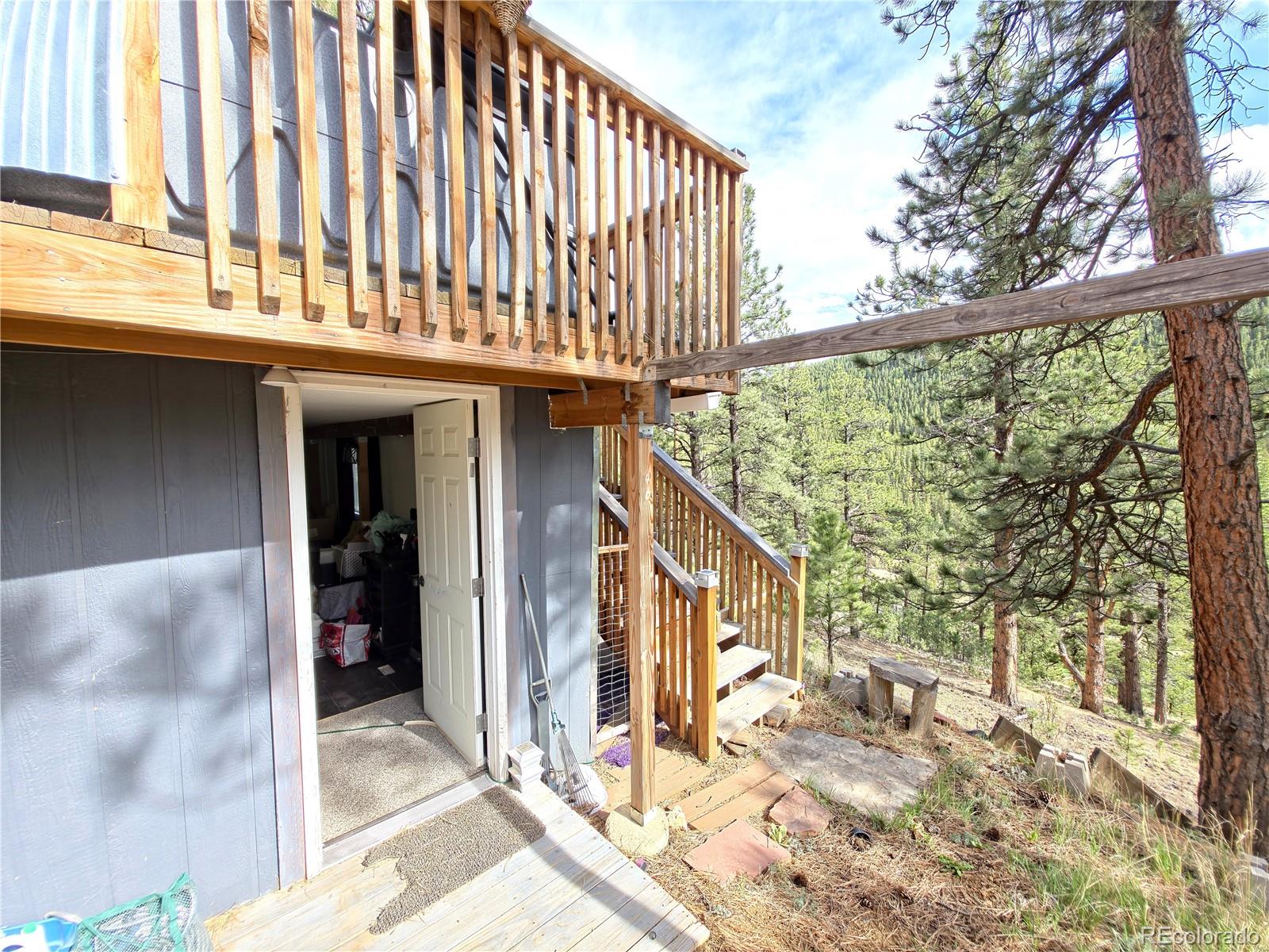 226 Hall Road Bailey, CO 80421 - Photo 22 of 26