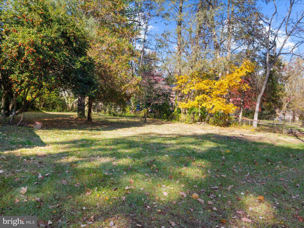 1201 Noyes Drive Silver Spring, MD 20910 - Photo 33 of 35 a view of yard with green space