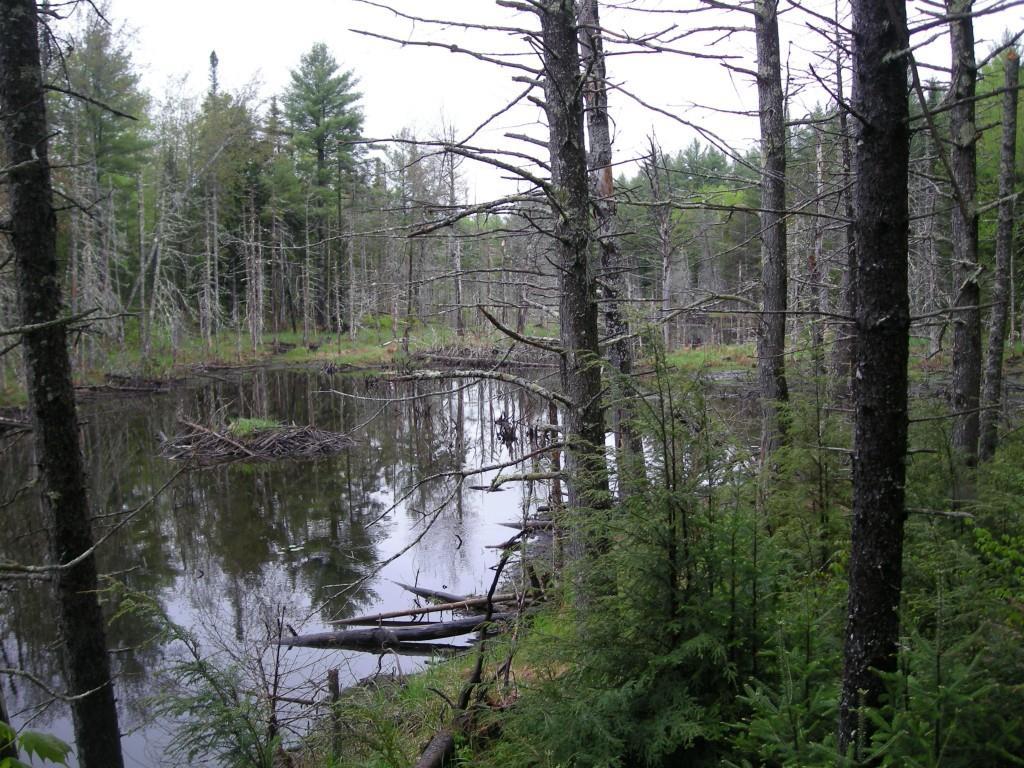 161 Hadley Mill Road Jackson, ME 04921 - Photo 30 of 35 Photo