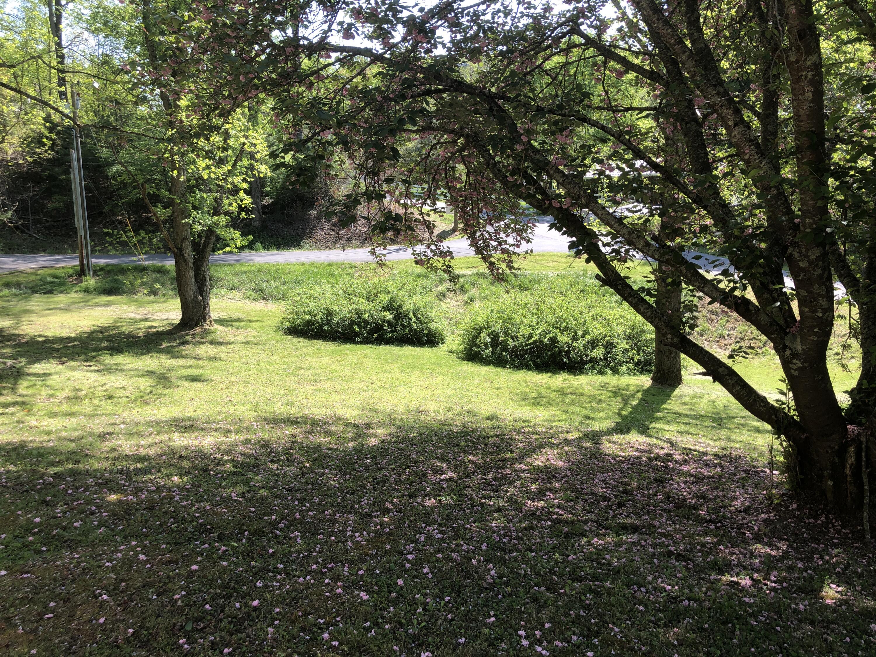 3202 Marbleton Road Unicoi, TN 37692 - Photo 24 of 31 IMG_8414