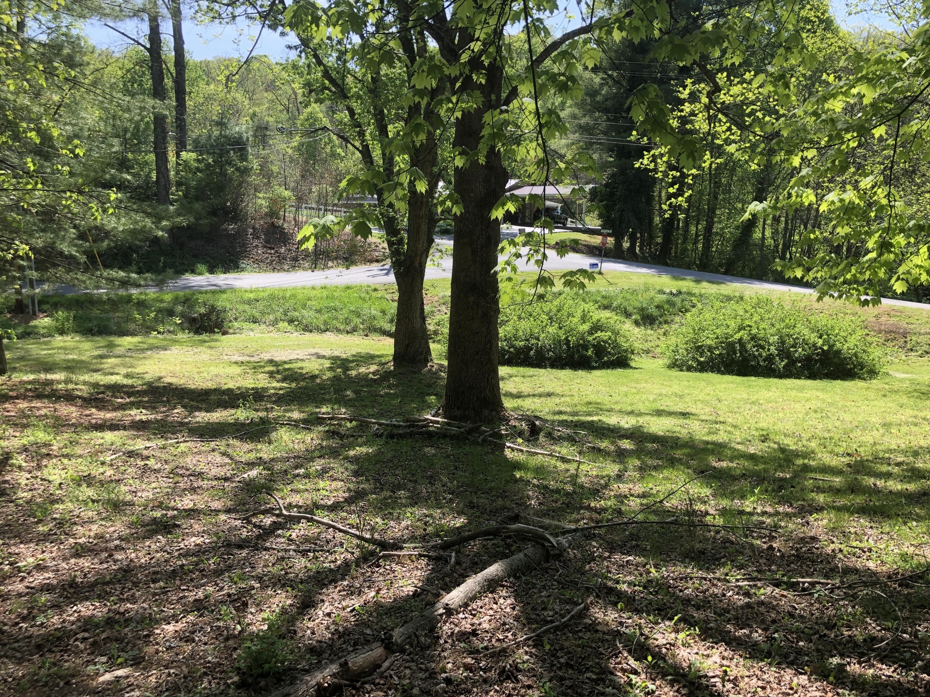 3202 Marbleton Road Unicoi, TN 37692 - Photo 25 of 31 IMG_8415