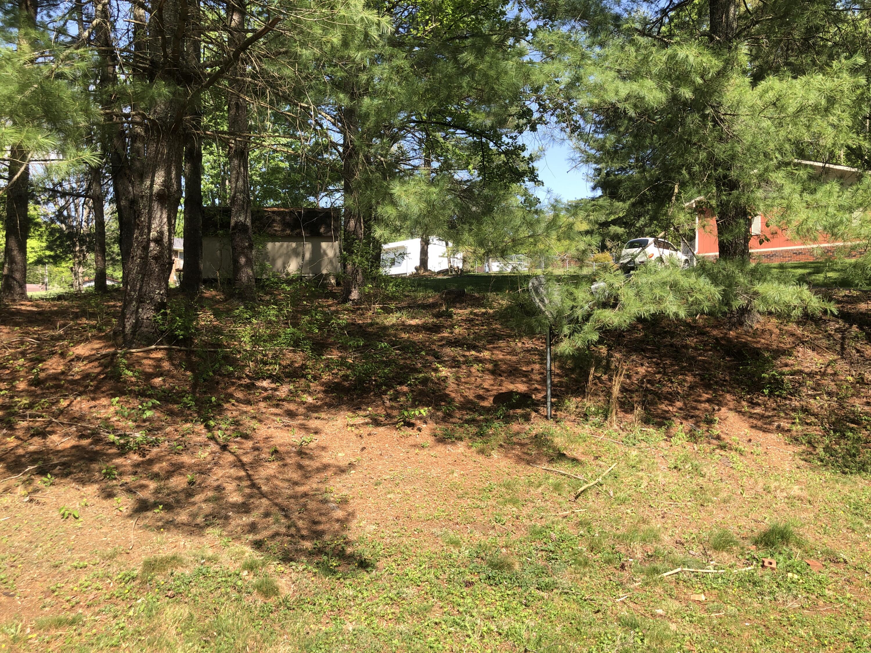 3202 Marbleton Road Unicoi, TN 37692 - Photo 28 of 31 IMG_8418