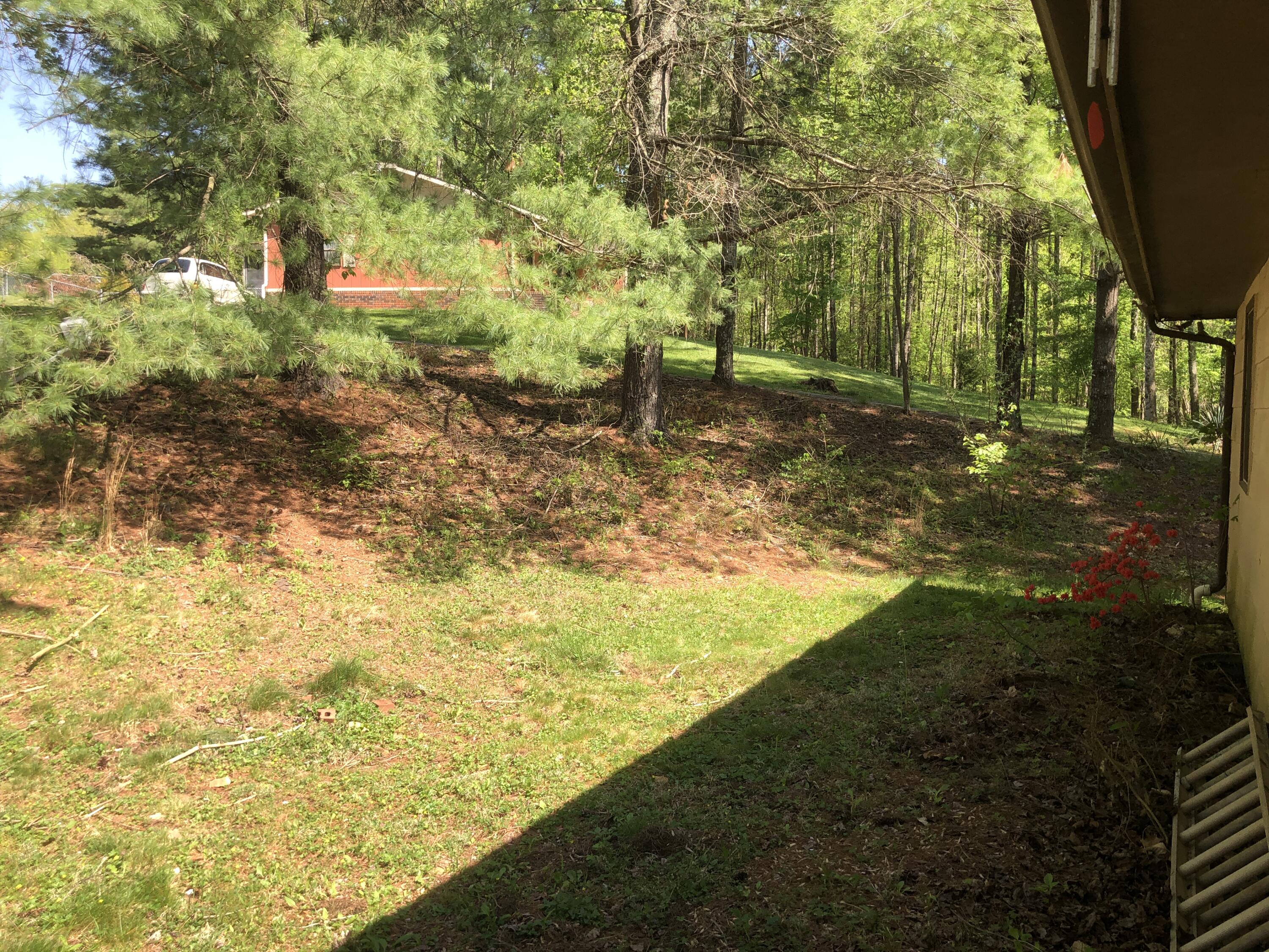 3202 Marbleton Road Unicoi, TN 37692 - Photo 29 of 31 IMG_8419