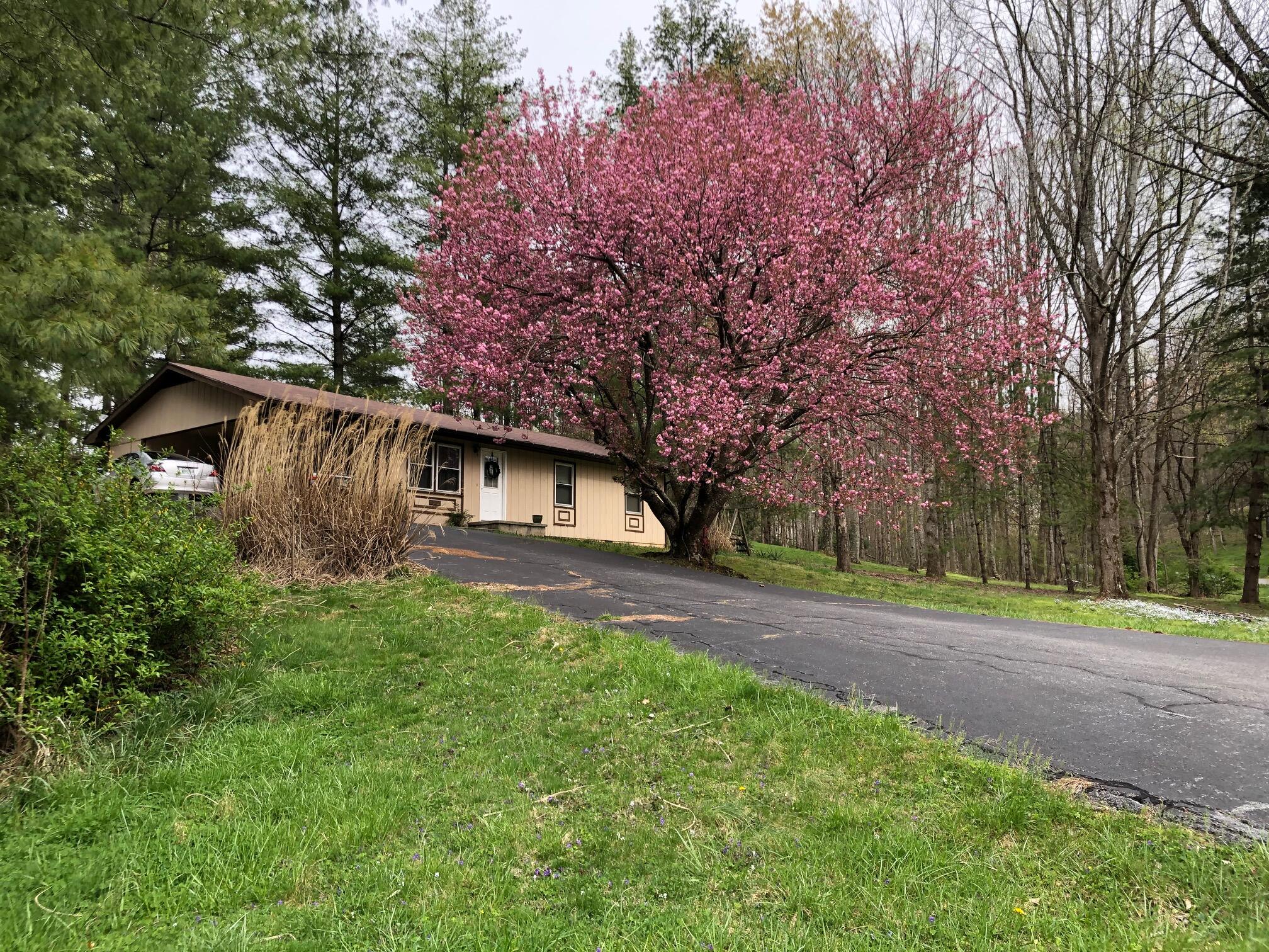 3202 Marbleton Road Unicoi, TN 37692 - Photo 6 of 31 image001