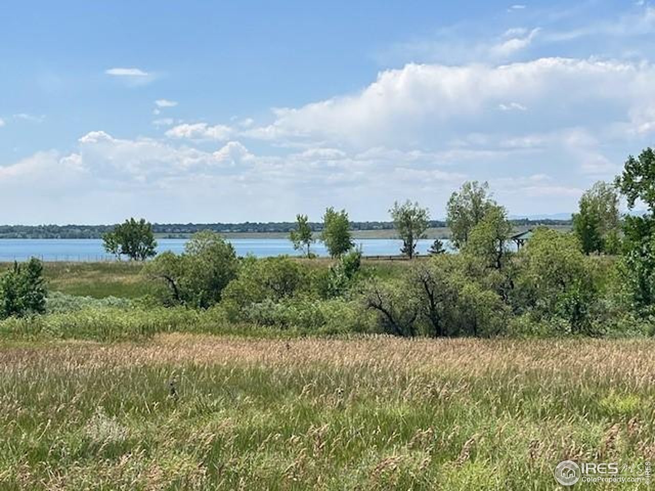 10947 West 100th Drive Broomfield, CO 80021 - Photo 36 of 38 a view of a bunch of trees and bushes