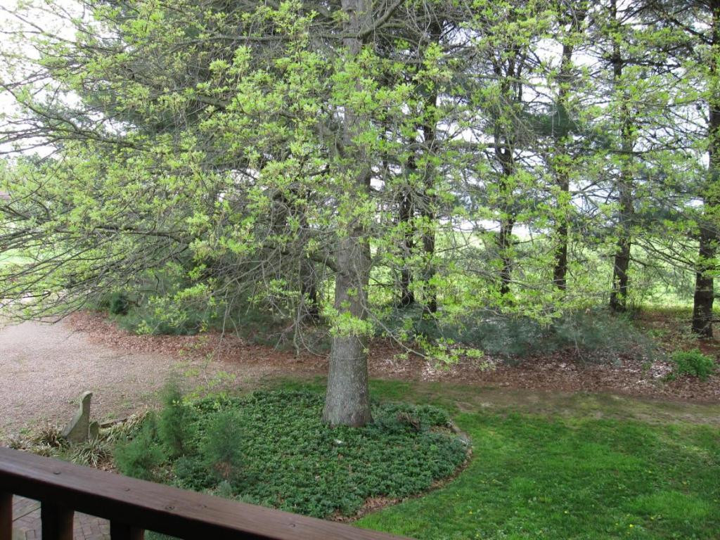 945 Boyd Carter Road Chuckey, TN 37641 - Photo 23 of 24 Photo 23