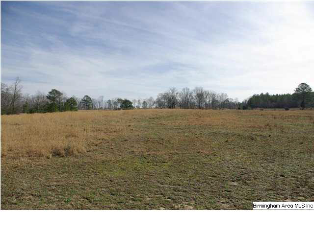 3 Horton Mill Road, Unit 1 Cleveland, AL 35049 - Photo 3 of 28 Gallery Image 3
