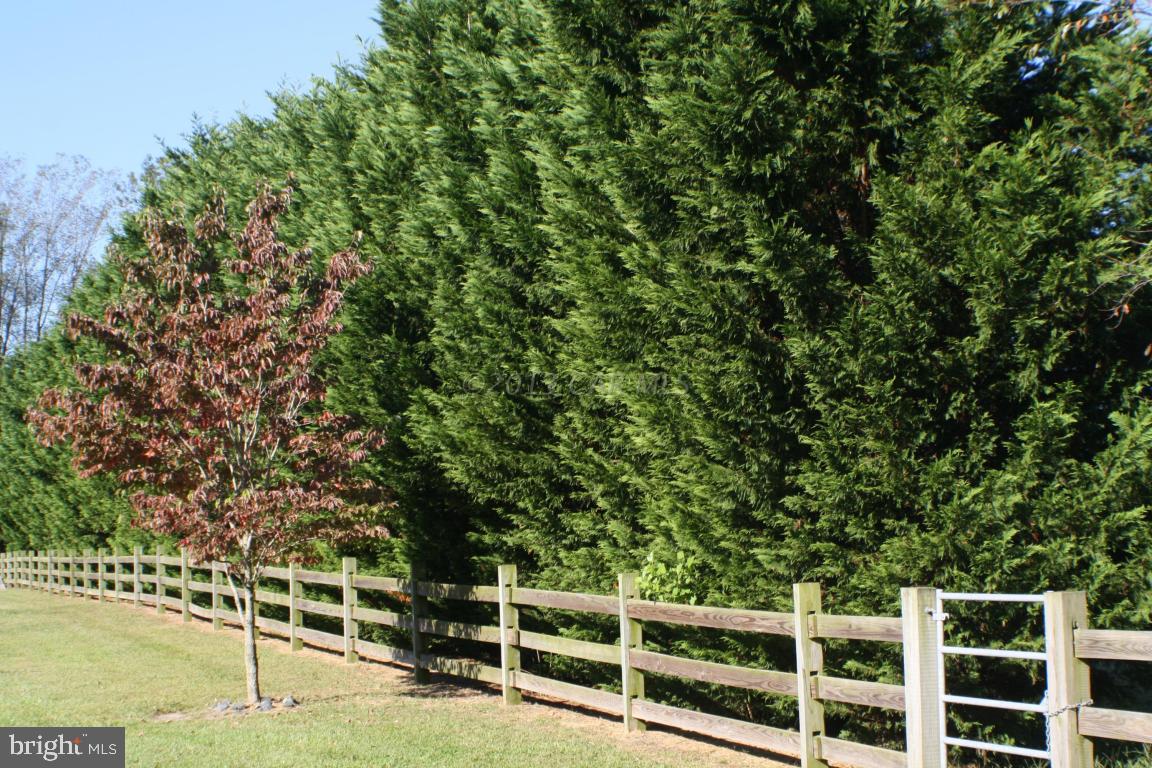 12645 Collins Road Bishopville, MD 21813 - Photo 22 of 37 Gallery Image 22