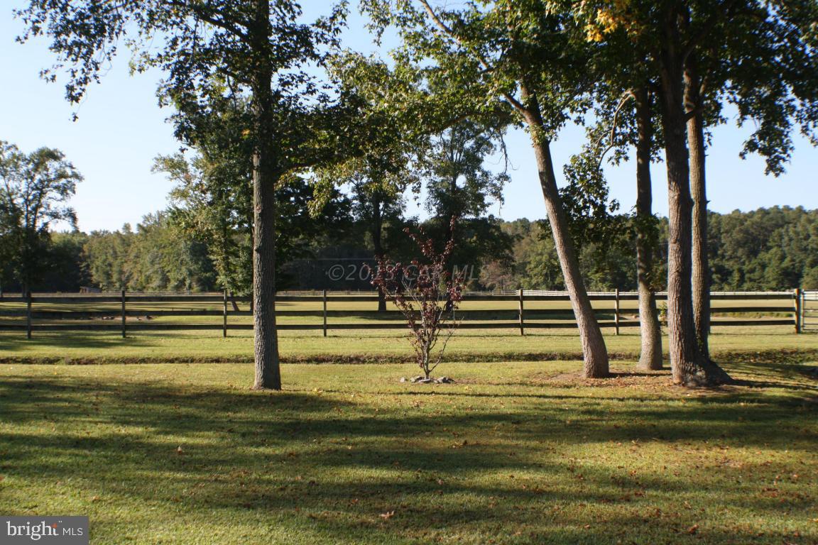 12645 Collins Road Bishopville, MD 21813 - Photo 23 of 37 Gallery Image 23