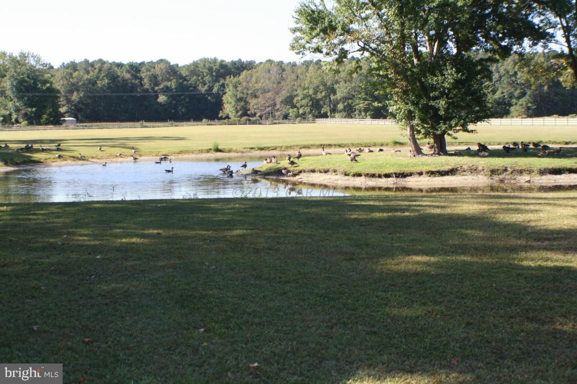 12645 Collins Road Bishopville, MD 21813 - Photo 5 of 37 Gallery Image 5