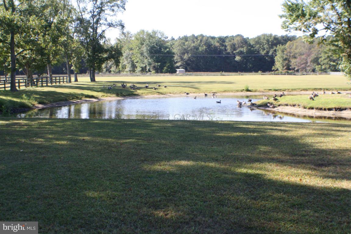 12645 Collins Road Bishopville, MD 21813 - Photo 7 of 37 Gallery Image 7